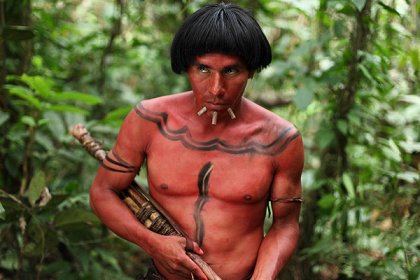 The Green Inferno