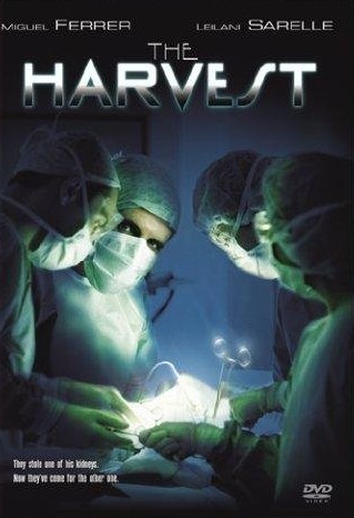 The Harvest - Sklizeň