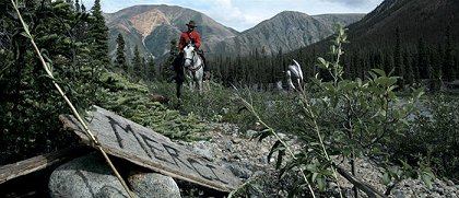 The Mountie