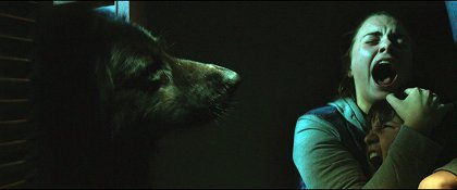 The Pack