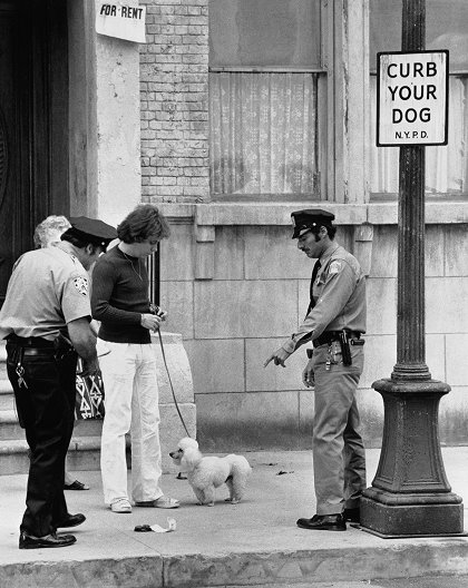 The Super Cops