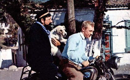Tintin