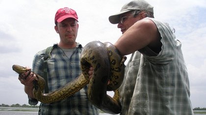 Titanoboa: Had