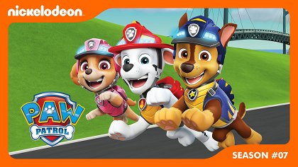 Tlapková patrola