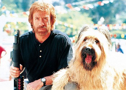 Top Dog