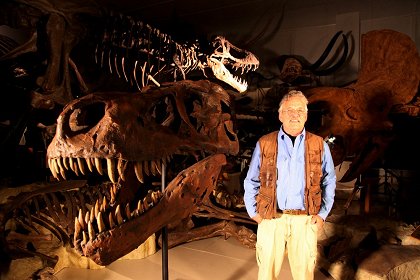 Tyranosaurus – mistr přežití