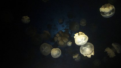 Velké migrace