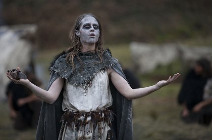 Viking: The Berserkers