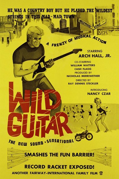 Wild Guitar