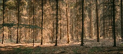 Wolfsbergen