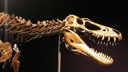 Záhadný dinosaurus