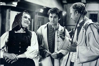Zimozel