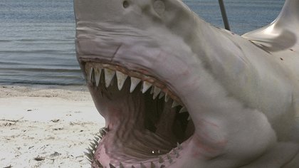 Zombie Shark