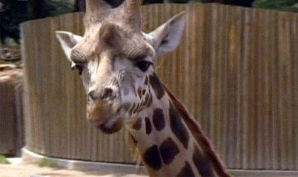 ZOO Liberec