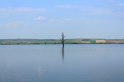 Ztracený břeh